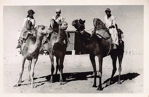 Pakistan - Camel drivers - REAL PHOTO - Publ. unknown - Picture 1 of 2