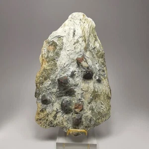 474g Garnet var. Almandine in Matrix / Austria / Rough Crystal Gemstone Specimen - Picture 1 of 14
