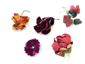 Vintage 1930s 1940s lot of 5 velvet & fabric flowers floral hat trim millinery - Picture 1 of 12
