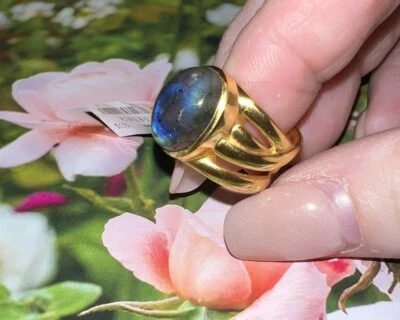 NEW Julie Vos Sz 5 Labradorite & 24k Gold Plated Ring BEAUTIFUL NWT - Image 1 of 4