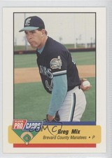 1994 Fleer ProCards Minor League Greg Mix #7
