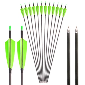12pcs Carbon Arrows SP400 Target Practice Compound Recurve Bow Archery Hunting - Picture 1 of 26