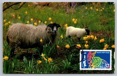 3895h Chinese Lunar New Year Ram FDC Maxi Card - Image 1 of 2