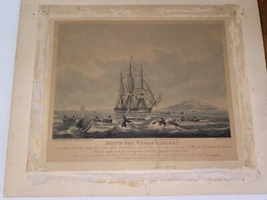 WJ Huggins Druck, handfarbige Aquatinta, Südseewalfischerei 1825 - Bild 1 von 10
