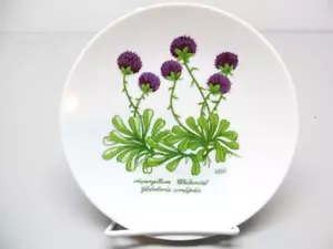 Bareuther Waldsassen Salad Plate Purple Herbs Aspergillum Bavaria Germany - Picture 1 of 4