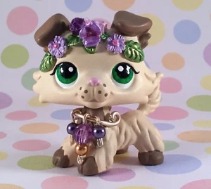 Mini Pet shop Lovely collie custom dog, toy, modified and hand painted with love - Picture 1 of 4