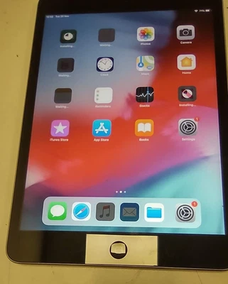 Apple iPad Mini 2 Model a1489, Silver 16Gb WiFi Tablet Computer - Image 1 of 4