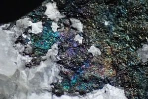 BERZELIANITE + KLOCKMANNITE + EUCAIRITE * VERY RARE !!! Bukov, CZECH REPUBLIC - Picture 1 of 22