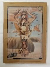 Epoxy Resin Wall Art Painting on Rectangular Board "WWII Bomber - Nose Art" 