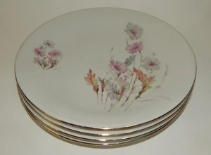 Set of 4 Mitterteich Bavaria Germany China Wild Flowers 7.75" Salad Plates - Picture 1 of 3