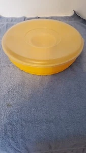 Chip & Dip Packer Ware Plastic Container w/Lid - Picture 1 of 5