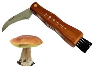 Coltello funghi lama ricurva con spazzola manico in legno - Foto 1 di 7