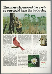 1967 SINCLAIR Oil advertisement, Dauphin Island Sanctuary, Alabama, print ad - Picture 1 of 3