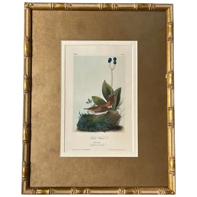 JJ Audubon Rock Wren Plate Pl. 116 Bird Print Litho 2nd Octavo Matted Gilt Frame - Image 1 of 4