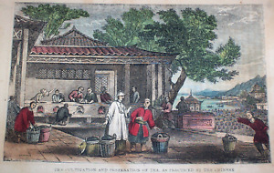 1853 Tea Cultivation in China ; Growing & Preparing Tea Leaves , Baskets Firing