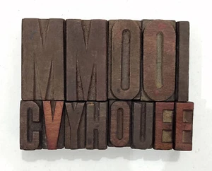 Vintage Letterpress 13 Mix Letters Wood Type Printers Block Collection #BL-73 - Picture 1 of 6