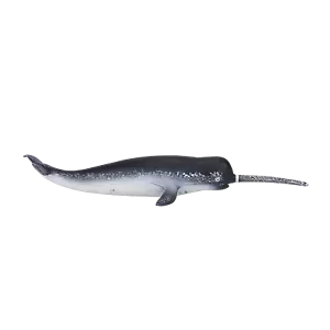 Mojo NARWHAL plastic animal sea toy figure model figurine fish bath marine - Foto 1 di 6