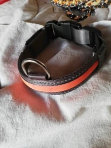 Hundehalsband , Kleine Hunde Leuchtfunktion , 40 cm, Anthrazit - Bild 1 von 5