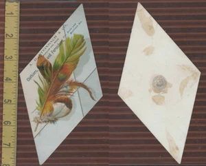Victorian Card, 1890's, Steinbach Clothiers, Diamond Shape, Feather - Picture 1 of 1