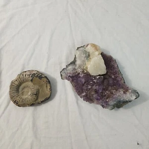 Fossil And Amethyst Crystal - Picture 1 of 12