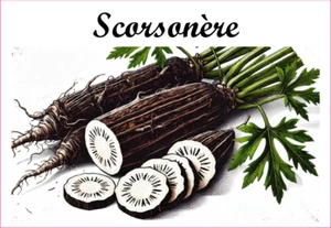 Scorsonère 12 sticker vinyl conserve fruit légume confiture fait maison - Picture 1 of 13
