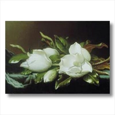 UNLIMITED POTENTIAL LLC White Magnolia Flower Floral Wall Picture Art Print