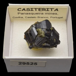 CASITERITA xx (Panasqueira mines, Castelo Branco, Portugal) #29525 / Cassiterite - Picture 1 of 1