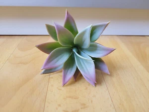 Depot | Deko künstliche Pflanze Sukkulente Miniatur Fairy Garden grün rose - Bild 1 von 6