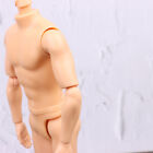 30cm Man Body Doll Model 5 Joints 13 Joints Matte/Glossy Fashion Male Doll