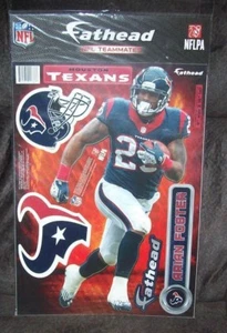 ARIAN FOSTER TEXANS 12X17 FATHEAD PEEL & STICK VINYL DECAL SHEET - Picture 1 of 1