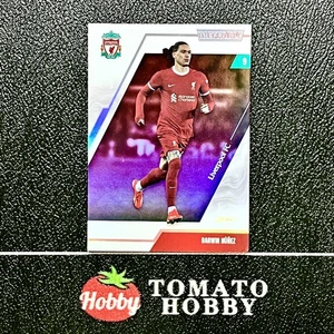 DAKA INEFFABLE TEAM SET 2024-25 DARWIN NUNEZ /99 SILVER LIVERPOOL - Bild 1 von 2