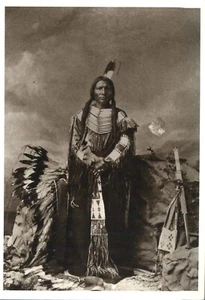 Little Big Man Oglala Sioux Warrior Photograph Charles M Bell 1877 Postcard - Picture 1 of 2