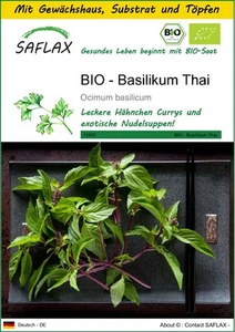 SAFLAX - Anzuchtset - BIO - Basilikum Thai - 250 Samen - Bild 1 von 10
