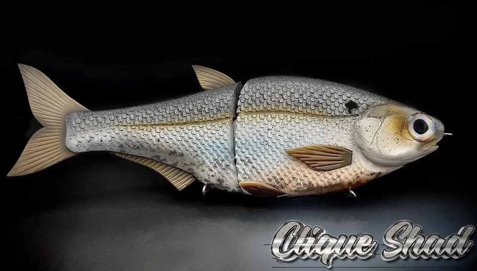 HINKLE SHAD CLONE CUSTOM PAINTED SHAD 9" SWIMBAIT CLIQUE SHAD MUST SEE! 🔥 - Image 1 of 4