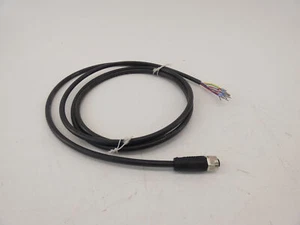 Juego de cables de un solo extremo Balluff BCC M41C-0000-1A-049-PX0C25-020 BCC06UK - Imagen 1 de 6