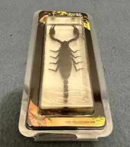 "Pisapapeles de escritorio NEGRO SCORPION INSECTO REAL Lucite grande 4,4"" x 1,6"" x 1,1" - Imagen 1 de 7
