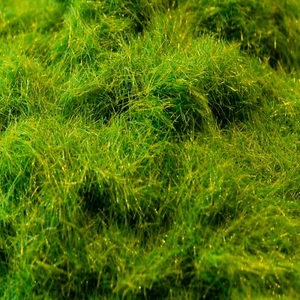 Static Grass 5mm Green Late Spring 900ml – Model Scenery Ground Cover - Picture 1 of 4
