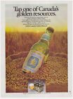 VINTAGE PRINT ADVERTISEMENT 1978 Molson- Tap one of Canada's golden resources
