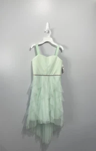 Girl’s Dress size 16 Sequin Hearts Embellished holiday birthday mint color New - Picture 1 of 12