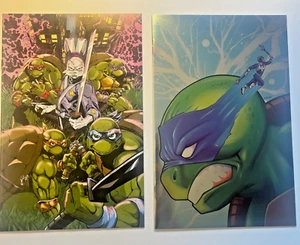 TEENAGE MUTANT NINJA TURTLES Varianten Stashhoot & Whatnot SANTOS & DOALY Art - Bild 1 von 3