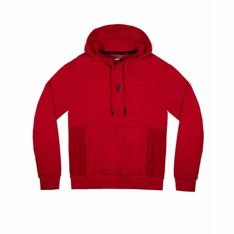 Alfa Romeo Racing Men's Small Logo Serpent Hoodie Cover