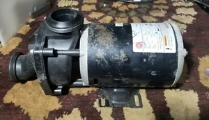 Pompa Jacuzzi® F569000 2500-250, 230 Volt. 1 velocità. 5,7 Amp. 3450 giri/min - Foto 1 di 5