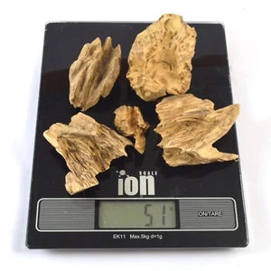 51 g Genuine Wild Kalimantan Indonesia Agarwood oudh Chips Not Cultivation - Picture 1 of 3