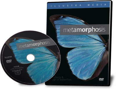 Metamorphosis: The Beauty and Design of Butterflies DVD - Image 1 of 3
