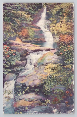 Postcard Waterfalls in the Primeval Glen at Buck Hill Falls Pennsylvania - Image 1 of 2