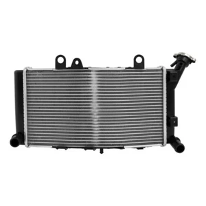 Fit For BMW F750GS F850GS Adventure 2019-2024 Motorcycle Engine Radiator Cooler - Picture 1 of 5
