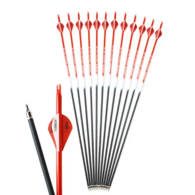 30" Carbon Arrows SP500 Archery Compound Recurve Bow Hunting Practice Shooting - Image 1 of 4