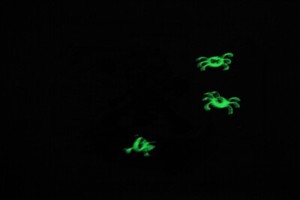 Beetlejuice 1990 Trading Card Glow In The Dark Sticker #1 ENG L012208