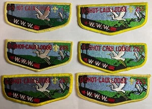 O-Shot-Caw 265 F Series Flaps Set Of Six - Bild 1 von 1