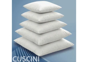 Imbottitura Anima Interna Per Cuscino Arredo In 100% Piuma D'oca Varie Misure - Foto 1 di 1